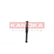 KAMOKA 2000745 - Jeu de 2 amortisseurs arrière