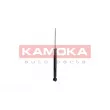 KAMOKA 2000829 - Jeu de 2 amortisseurs arrière