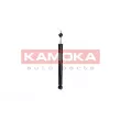 KAMOKA 2000836 - Jeu de 2 amortisseurs arrière