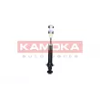 KAMOKA 2001161 - Jeu de 2 amortisseurs arrière