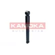 KAMOKA 2001165 - Jeu de 2 amortisseurs arrière