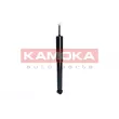 KAMOKA 2001168 - Jeu de 2 amortisseurs arrière