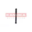 KAMOKA 2001170 - Jeu de 2 amortisseurs arrière