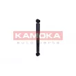 KAMOKA 2001170 - Jeu de 2 amortisseurs arrière