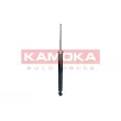 KAMOKA 2001175 - Jeu de 2 amortisseurs arrière