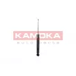 KAMOKA 2001208 - Jeu de 2 amortisseurs arrière