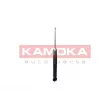 KAMOKA 2001215 - Jeu de 2 amortisseurs arrière