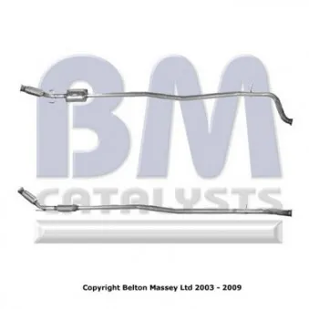BM CATALYSTS BM80060H - Catalyseur