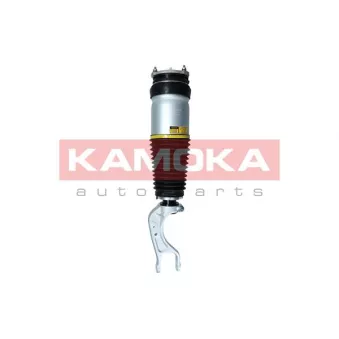 Armortisseur pneumatique KAMOKA 2070007
