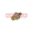 KAMOKA 4080049 - Sonde, température du liquide de refroidissement