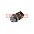 KAMOKA 4080065 - Sonde, température du liquide de refroidissement