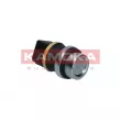 KAMOKA 4080065 - Sonde, température du liquide de refroidissement