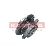 KAMOKA 5500226 - Roulement de roue arrière