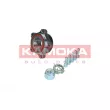 KAMOKA 5500238 - Roulement de roue avant