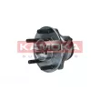 KAMOKA 5500258 - Roulement de roue arrière