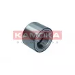 KAMOKA 5600169 - Roulement de roue avant