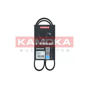 Courroie trapézoïdale à nervures KAMOKA OEM A172001B0A