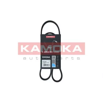 Courroie trapézoïdale à nervures KAMOKA OEM 55182511