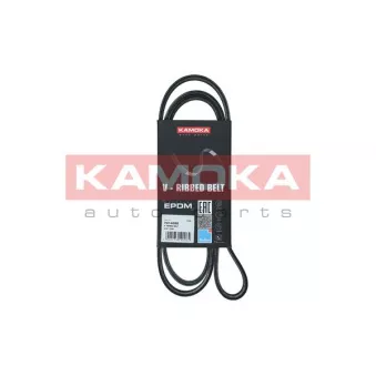 Courroie trapézoïdale à nervures KAMOKA OEM 117204016R