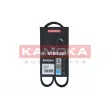 KAMOKA 7016008 - Courroie trapézoïdale à nervures