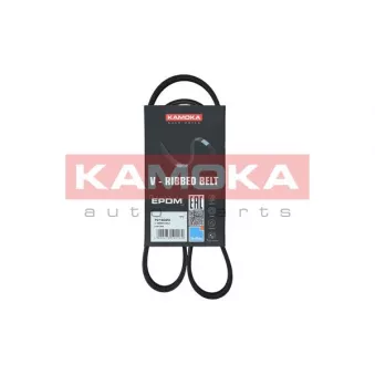 Courroie trapézoïdale à nervures KAMOKA 7016024