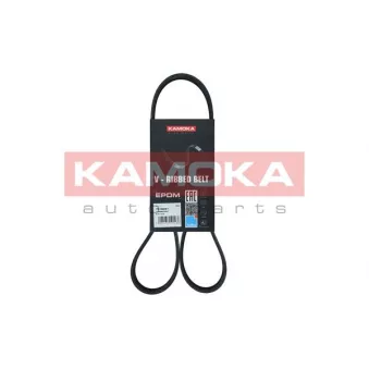 Courroie trapézoïdale à nervures KAMOKA 7016051