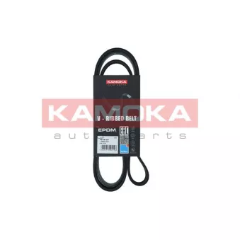 Courroie trapézoïdale à nervures KAMOKA 7016127