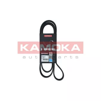 Courroie trapézoïdale à nervures KAMOKA OEM 7310608