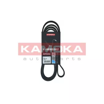 Courroie trapézoïdale à nervures KAMOKA OEM 7787535
