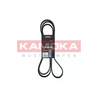 Courroie trapézoïdale à nervures KAMOKA OEM 53010234