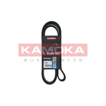 Courroie trapézoïdale à nervures KAMOKA OEM 117209591r