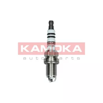 Bougie d'allumage KAMOKA OEM 101000033AF