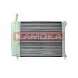 KAMOKA 7705025 - Radiateur, refroidissement du moteur