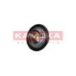 KAMOKA 7710053 - Thermostat, liquide de refroidissement