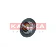 KAMOKA 7710076 - Thermostat, liquide de refroidissement