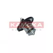 KAMOKA 7710099 - Thermostat, liquide de refroidissement