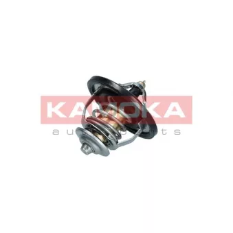Thermostat, liquide de refroidissement KAMOKA OEM 2550027000