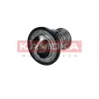 KAMOKA 7710162 - Thermostat, liquide de refroidissement