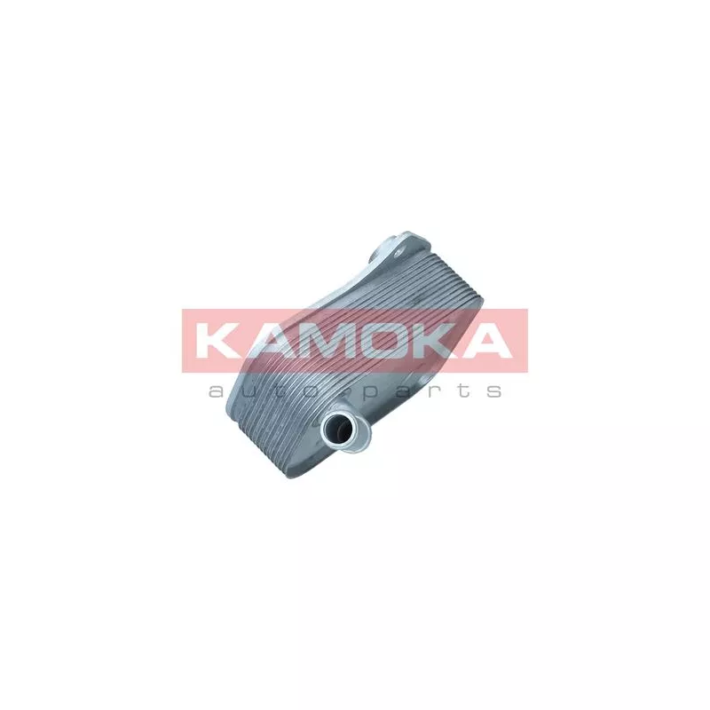 Radiateur d'huile KAMOKA 7730035 - Visuel 1