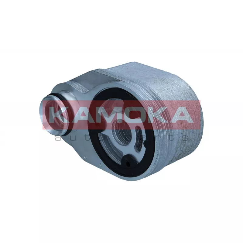 Radiateur d'huile KAMOKA 7730096 - Visuel 1