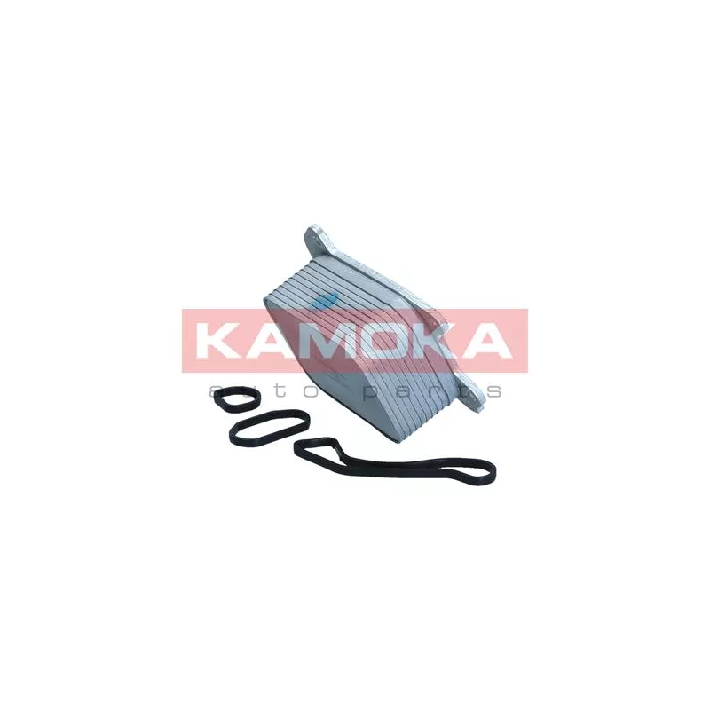 Radiateur d'huile KAMOKA 7730101 - Visuel 1