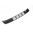 BLIC 6509-01-2553920P - Grille de ventilation, pare-chocs