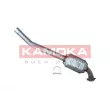 KAMOKA 8015001 - Catalyseur