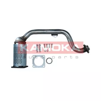 Catalyseur KAMOKA 8015005
