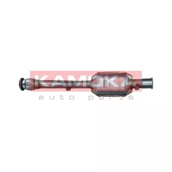 Catalyseur KAMOKA 8015006