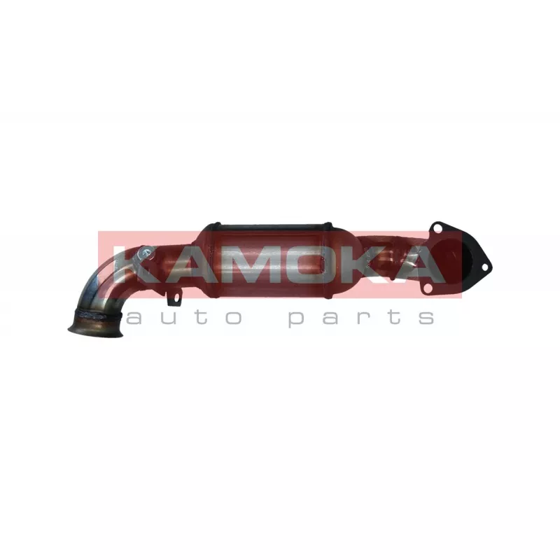 Catalyseur KAMOKA 8015010 - Visuel 1