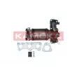 Catalyseur KAMOKA [8015060]
