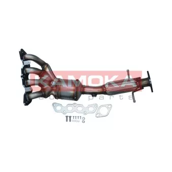 Catalyseur KAMOKA 8015067