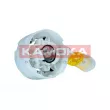 KAMOKA 8400028 - Unité d'injection de carburant
