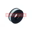 KAMOKA F128901 - Filtre, ventilation du carter-moteur